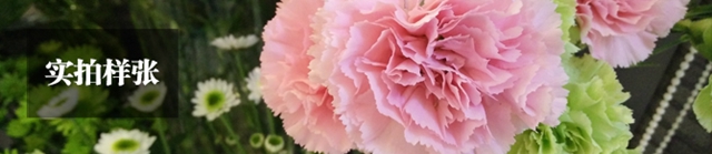 OPPO R7sô OPPO R7sֻܶԱ