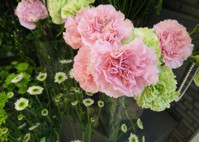 OPPO R7sô OPPO R7sֻܶԱ