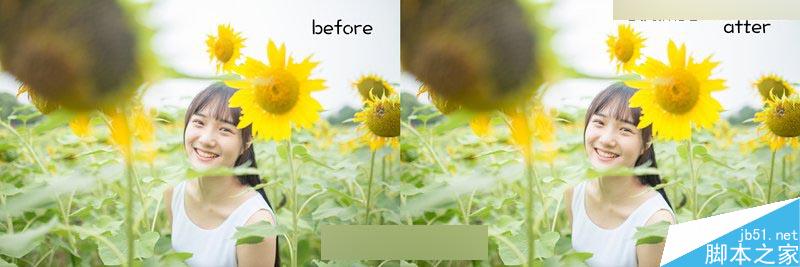 Photoshop调出向日葵中女孩日系暖色效果,PS教程,思缘教程网