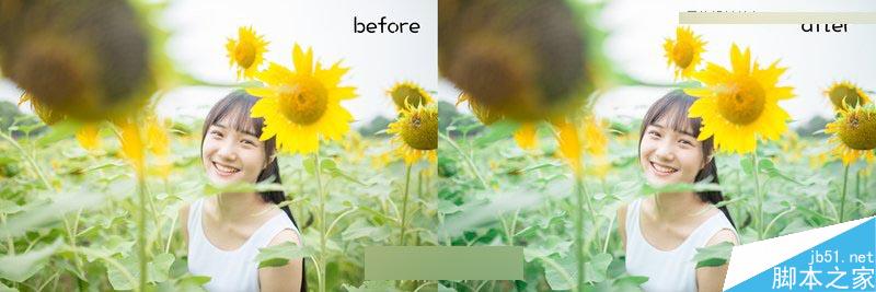 Photoshop调出向日葵中女孩日系暖色效果,PS教程,思缘教程网