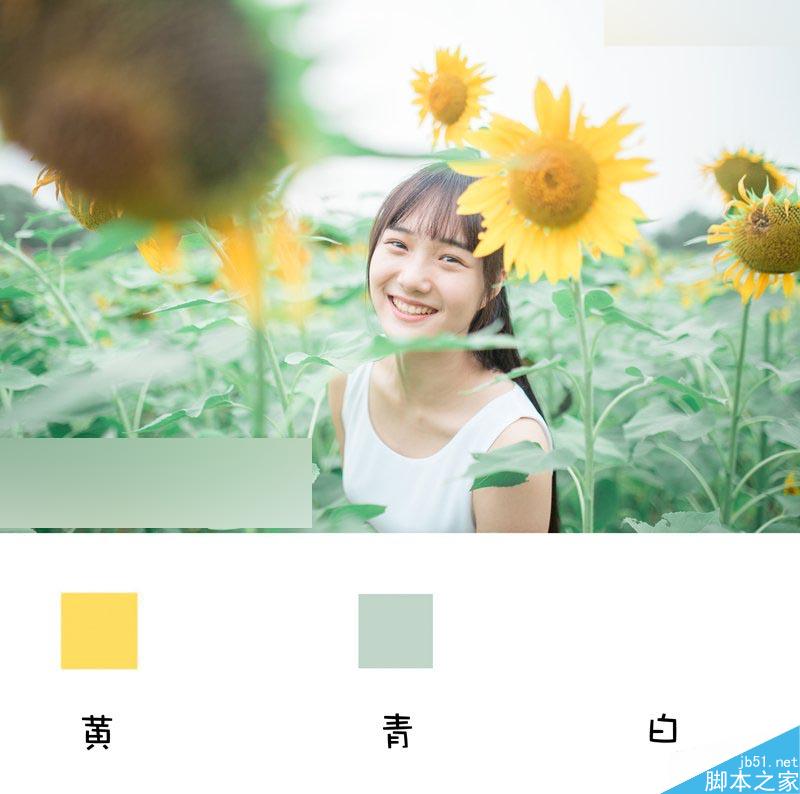 Photoshop调出向日葵中女孩日系暖色效果,PS教程,思缘教程网