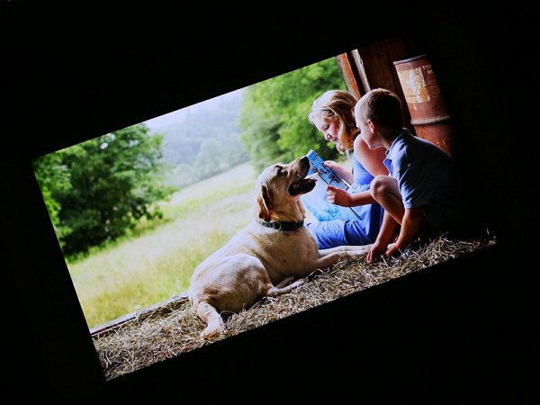 Super AMOLED һֻXĻ