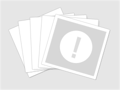 Windows server 2003֤