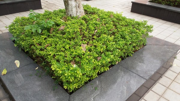 Galaxy On7ô Galaxy On7