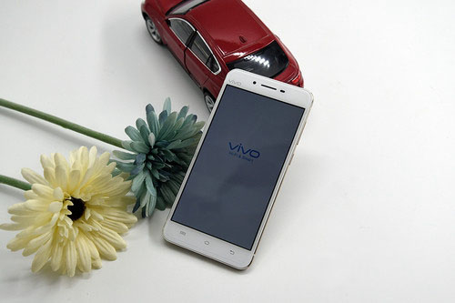 vivo X6ô vivo X6ϸ 
