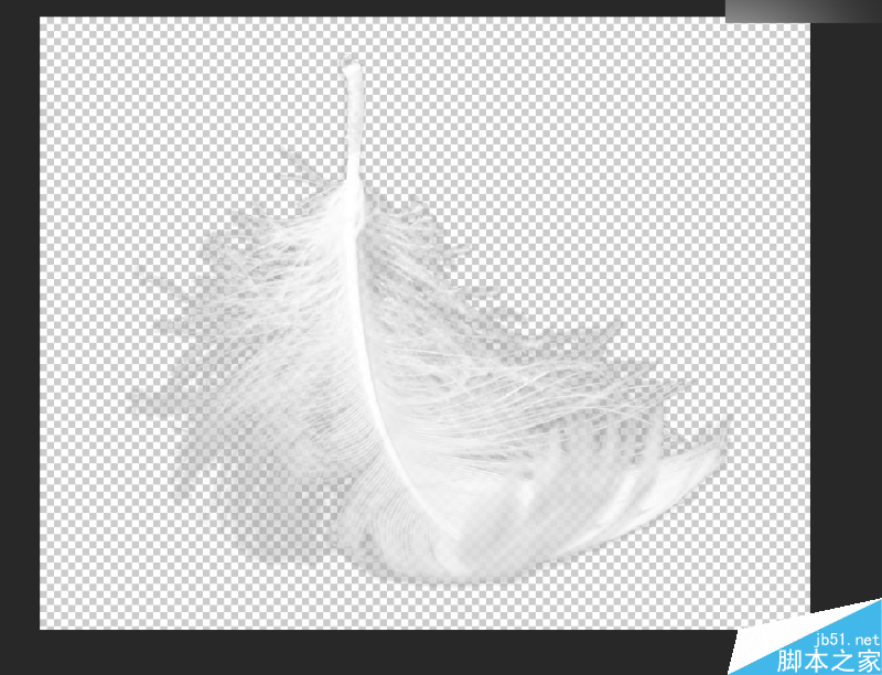 Photoshop巧用色阶快速的抠出羽毛效果图,PS教程,思缘教程网