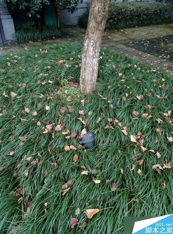 红米Note3详细评测视频