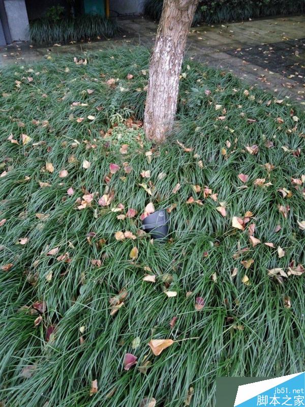 红米Note3详细评测视频