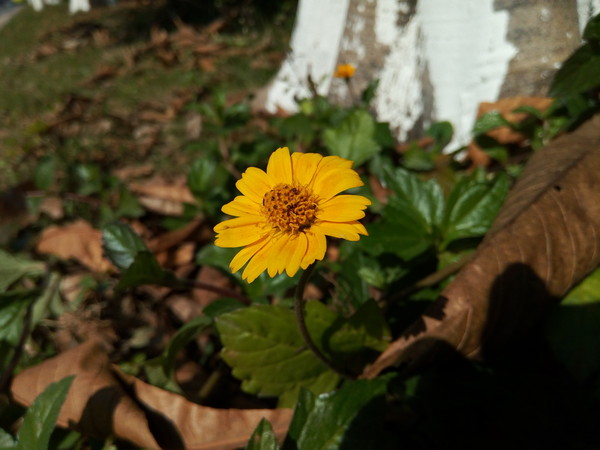 M5 Plusô ϸĽM5 Plus