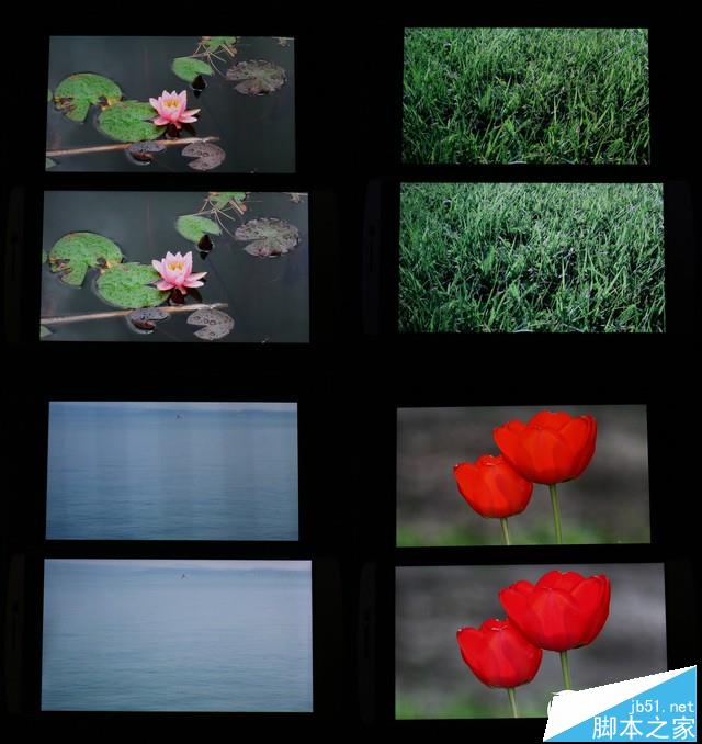 5000Ԫذ콢˺:MotoXԱLGV10 