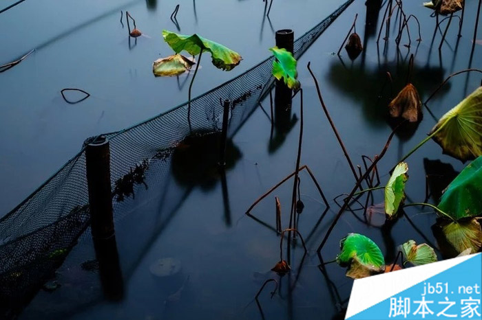 你到底该选择无反相机还是单反相机_摄影教程