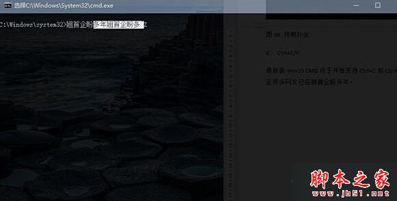 复制与粘贴 复制与粘贴