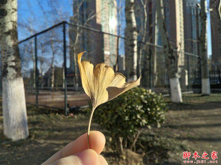 ȫֻͨ ivvi Сi Plus 