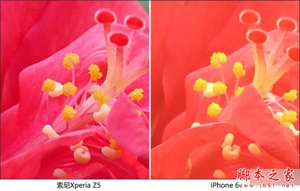 iPhone 6s对比索尼Z5 iPhone 6s对比索尼Z5