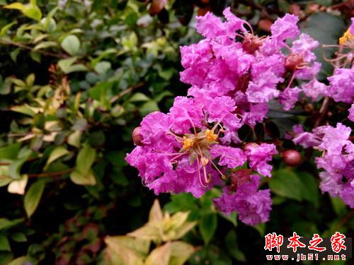 千元对决 360奇酷手机青春版VS小米4c