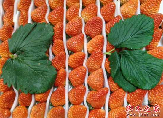 乐檬3评测:能否抗衡同等价位红米3