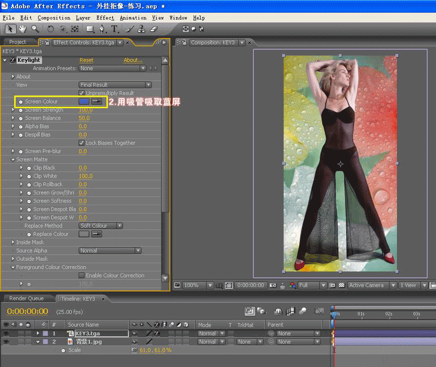 AE抠图插件(The Foundry Keylight) V1.2 安装免
