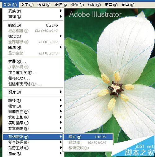 AI怎么将白色百多抠出来?AI抠图做效果的详细