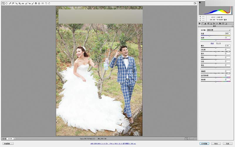 Photoshop调出灰蒙蒙外景婚片清新色调,PS教程,思缘教程网