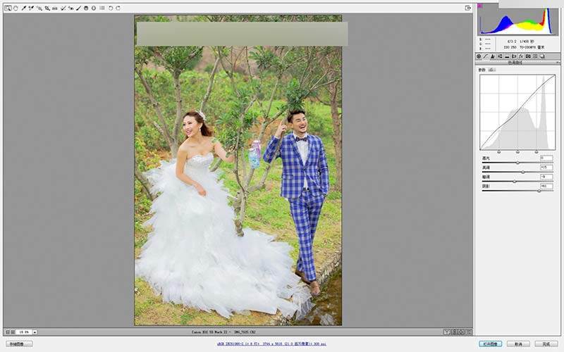Photoshop调出灰蒙蒙外景婚片清新色调,PS教程,思缘教程网