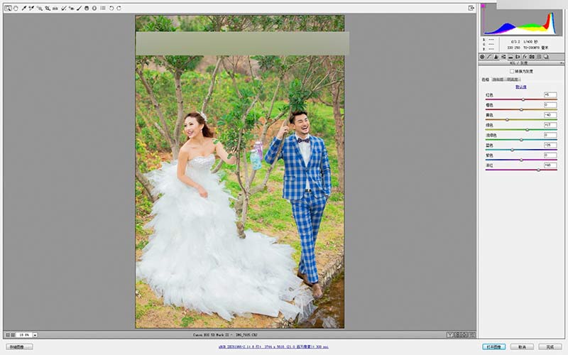 Photoshop调出灰蒙蒙外景婚片清新色调,PS教程,思缘教程网