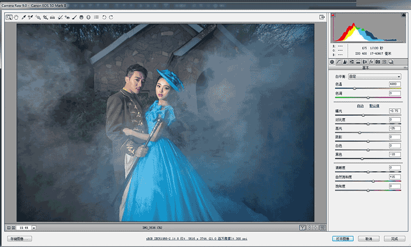 Photoshop调出蓝色梦幻效果的婚纱照片,PS教程,思缘教程网