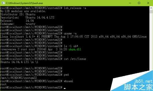 在新版 Win10 中启用 Linux Bash 环境
