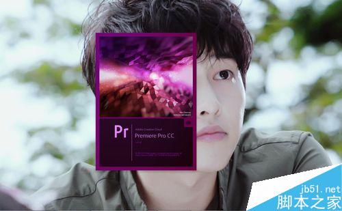 PremierePro给视频素材加上局部马赛克视频燕窝白图片