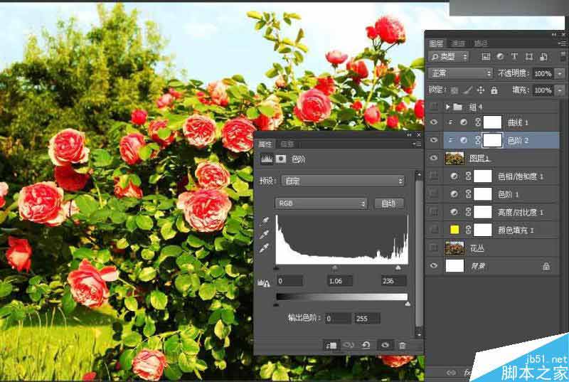 Photoshop设计以花朵为主元素的报纸广告