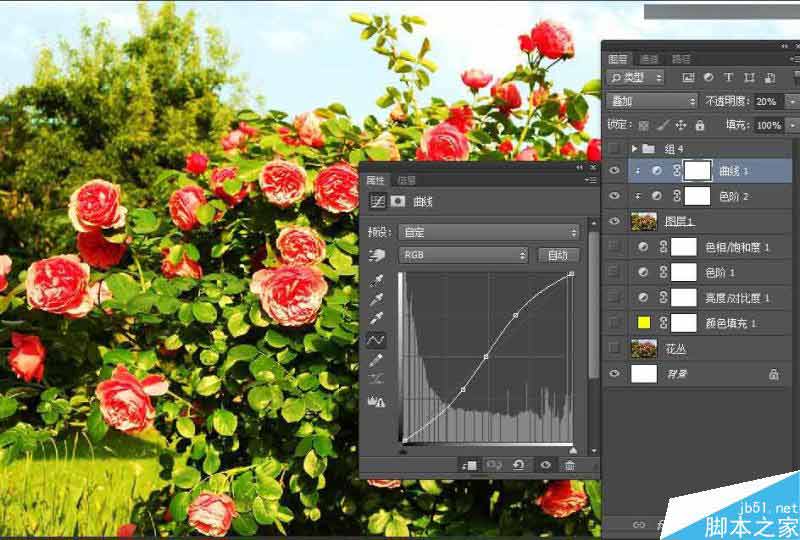 Photoshop设计以花朵为主元素的报纸广告