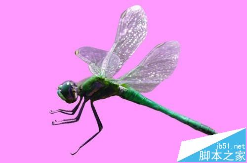 Photoshop cs5中怎么分离通道和合并通道？