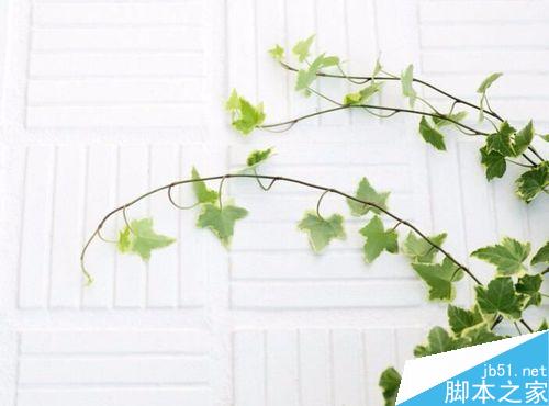 怎么在电脑上设置韩文输入法?