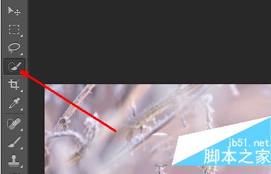 ps怎么抠图换背景 photoshop抠图教程 2