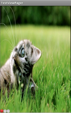 2016517184555197.jpg (241×383)