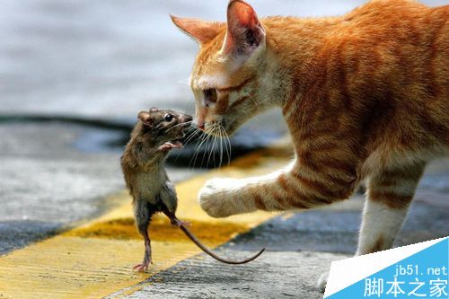 如何提高摄影水平?提高摄影水平全攻略_摄影