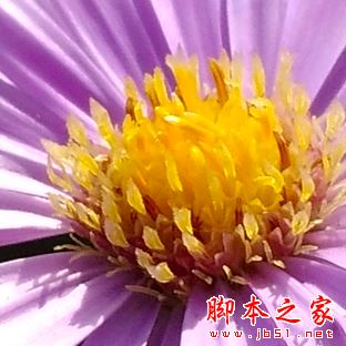 华为荣耀5A和红米note3哪个性价比高?红米No