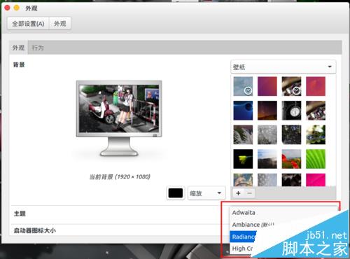 ubuntu16.04怎么更换自定义主题? ubuntu16.04