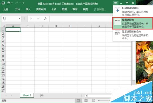 excel2016工具栏怎么显示\/隐藏? excel工具栏的