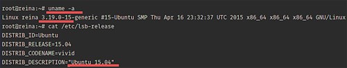 在Ubuntu15.04上安装Docker的步骤以及基本用法