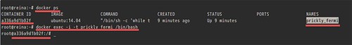 在Ubuntu15.04上安装Docker的步骤以及基本用法