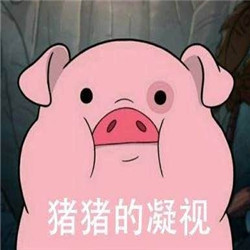 还是小猪猪的凝视QQ表情见过那么多猪糯米可爱团表情粉色包图片