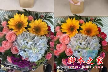 小米6和iPhone7Plus哪个值得买?苹果7plus和小