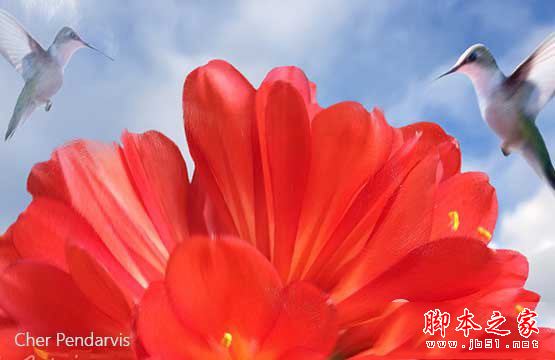 Corel Painter2018破解版下载 Corel Painter(绘