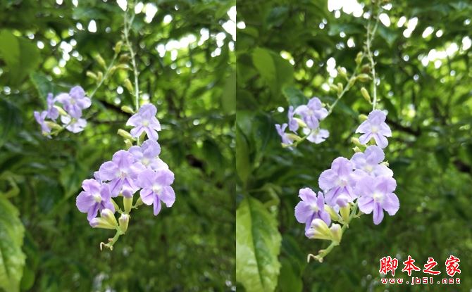 vivo x9和vivo x9s哪个好?vivox9s和vivox9区别对