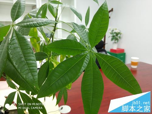 小米Note3值得买吗?小米Note3优缺点全面深度