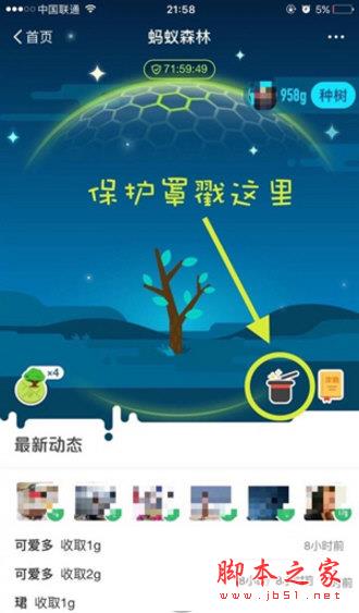 蚂蚁森林保护罩是什么意思?蚂蚁森林保护罩介