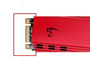 固态硬盘接口类型有哪些? 固态硬盘接口类型图