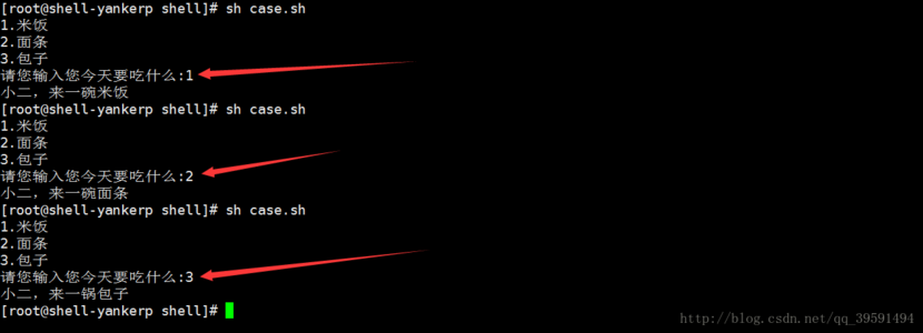 Shell±à³ÌÖ®caseÓï¾äʵս(С½á)