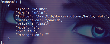 docker 数据卷之进阶篇