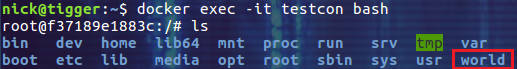 docker 数据卷之进阶篇